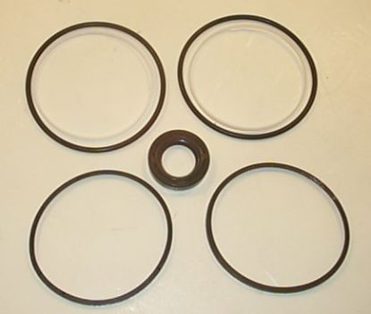 Picture of TFP 200 SEAL KIT***