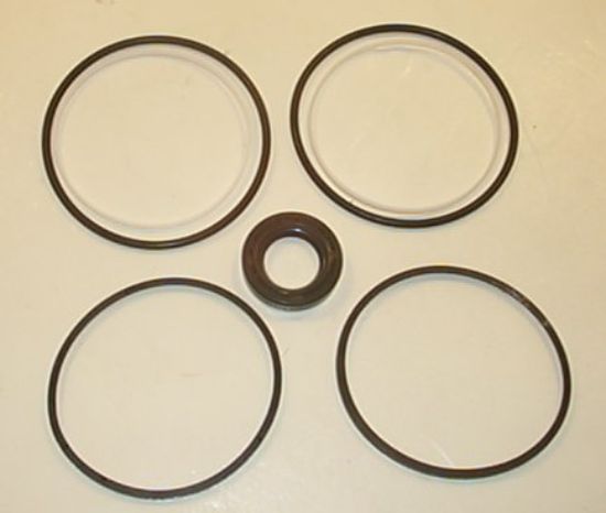 Picture of TFP 200 SEAL KIT***