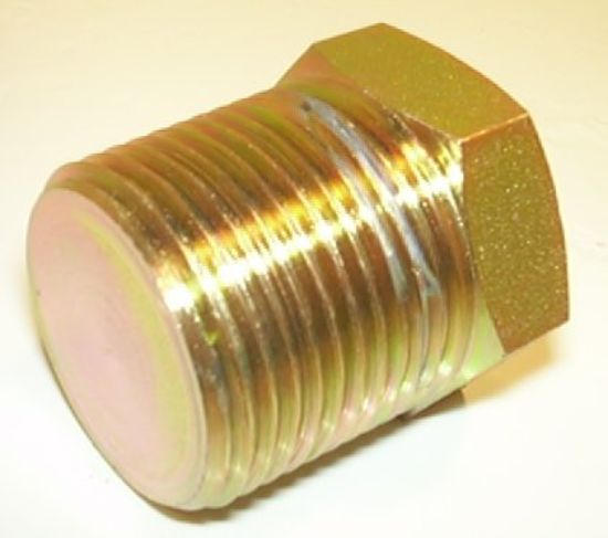 Picture of 1'' BSP  T  BLANKING PLUG