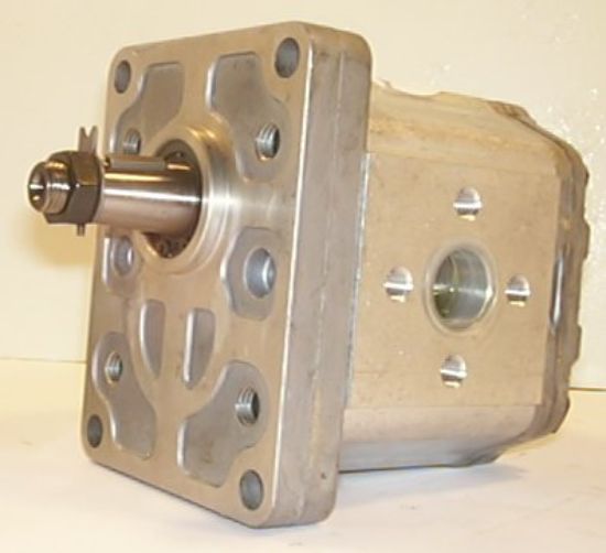 Image de SANDERSON W365824000 Pompe à engrenage