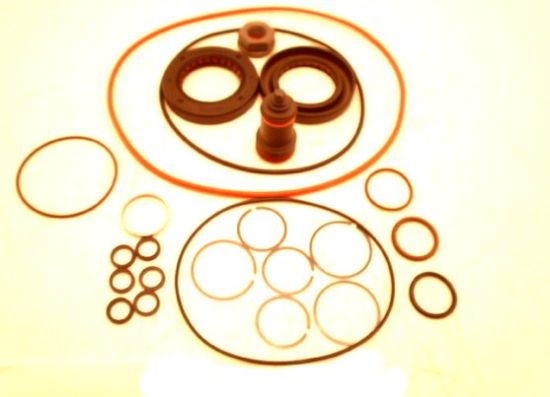 Picture of J FRAME OVERHAUL SEAL KIT