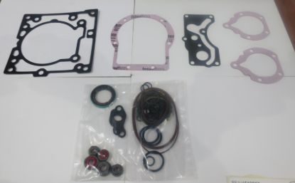 Picture of SERIES 42P28 COMPLETE SEAL KIT