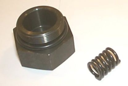 Picture of DG05 BLANKING PLUG & SPRING