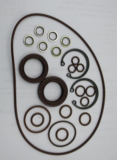 Image de MA10V028 VITON SEAL KIT