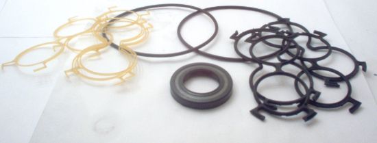 Picture of SNM3 C (03)  FLANGE SEAL KIT
