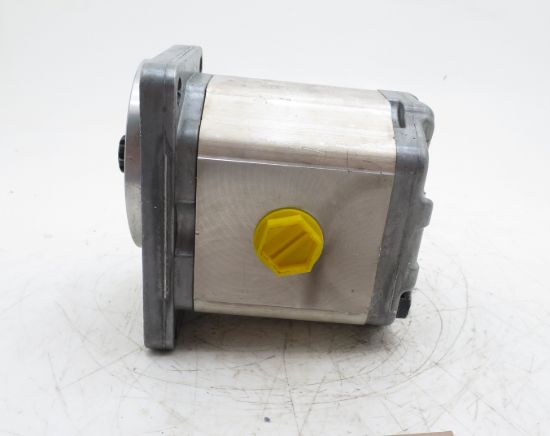 Picture of SNP2 C17L ZBOB