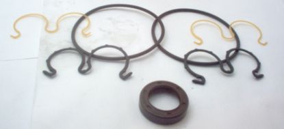 Picture of SKP2 VITON SEALKIT FOR BELOW FLANG