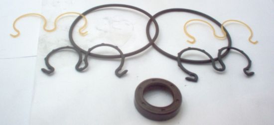 Picture of SKP2 VITON SEALKIT FOR BELOW FLANG