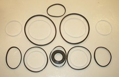 Picture of TFM 200 SEAL KIT** OBSOLETE