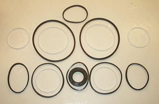 Picture of TFM 200 SEAL KIT** OBSOLETE