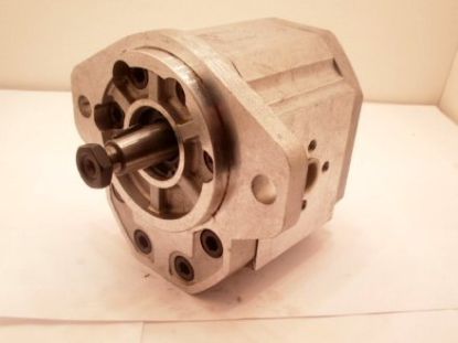 Picture of SNP3 C26L TSSB