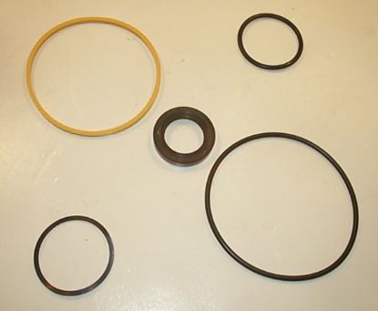 Picture of 20V BUNA SEAL KIT  497125N