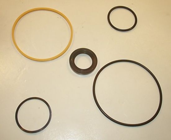 Picture of 20V BUNA SEAL KIT  497125N