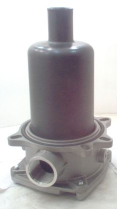 Picture of SIZE 41 1.1/4  BSP  T.I. FILT BODY