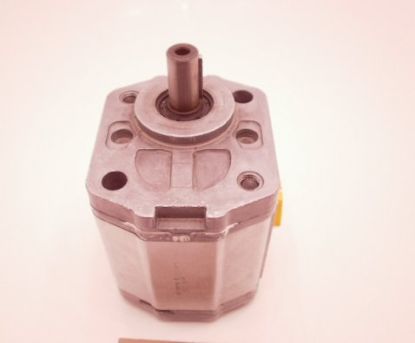 Picture of SNP2 A17L PROB