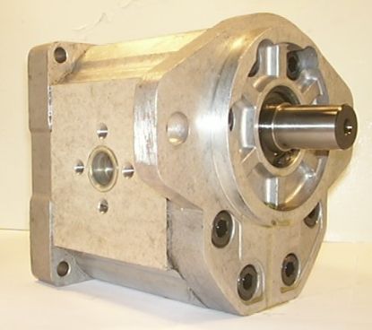 Picture of SNP3 C38L PSSA