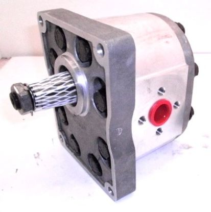 Picture of SP3/175 C19.5.L TXTB 1898