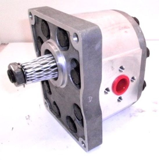 Picture of SP3/175 C19.5.L TXTB 1898