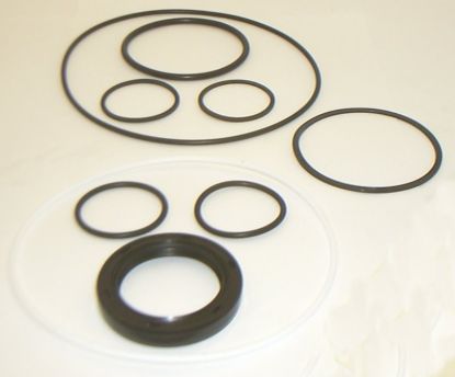 Picture of 35M MOTOR BUNA SEAL KIT