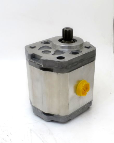 Picture of SNP2 C17L MLOB