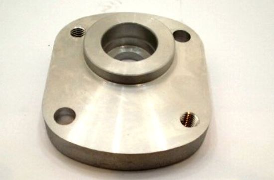 Image de PGP511 50MM/ TB ARBRE COUVERTURE FIN