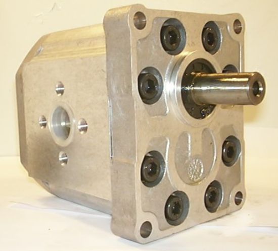 Picture of SNP3 C55L PSEB