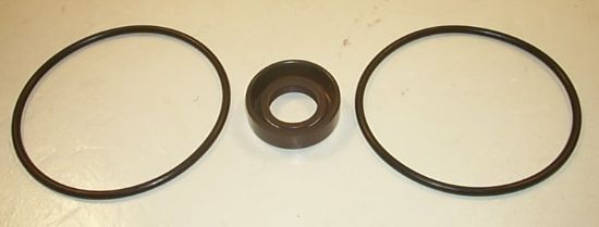 Picture of V2020 SEAL KIT  923174N