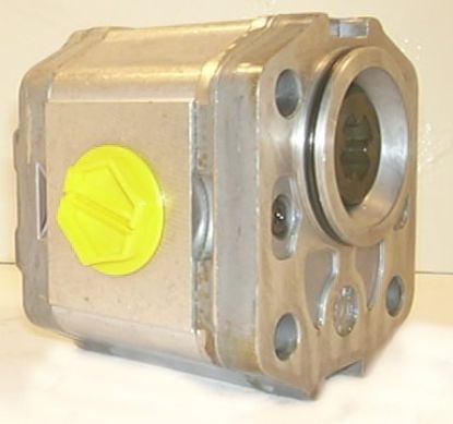 Image de RANSOMES A800596 Pompe à engrenage