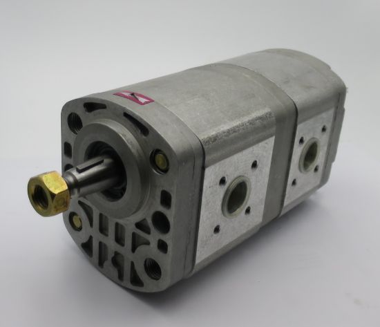Picture of P2DCN2022CA2012CL10C02N PUMP