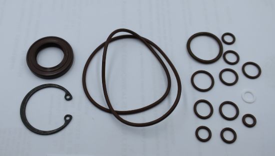 Image de MA10V018 VITON SEAL KIT