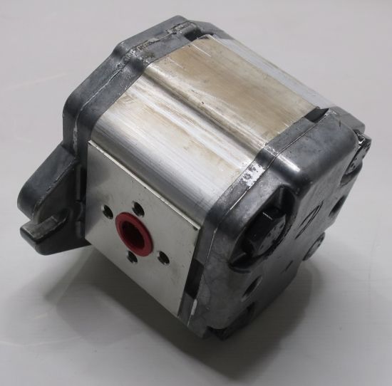 Picture of SNP2 C6.0L SC06.C