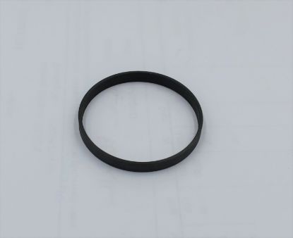 Picture of SPV2 / SMF2 33cc  BEAR PLATE P RING