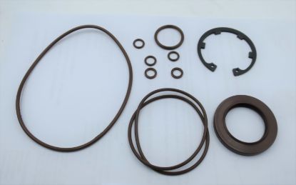 Picture of MA10V060 VITON SEAL KIT