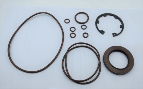 Picture of MA10V060 VITON SEAL KIT