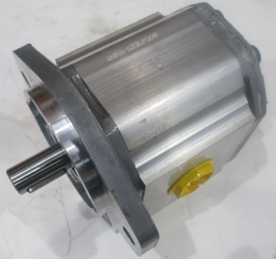 Picture of SNP3 C33L CI01.F