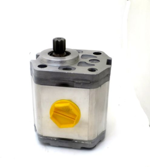 Picture of SNP2 C17L MLOB