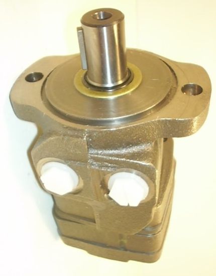 Picture of WHITE  HYDRAULIC MOTOR