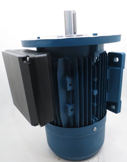 Picture of 1 PHASE 1440RPM D100 B3/B5  2.5KW