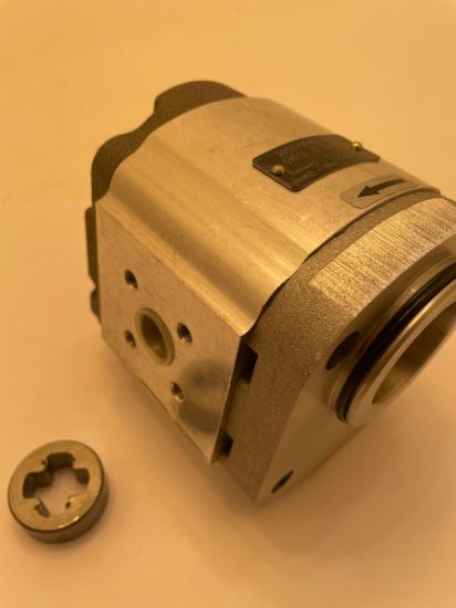 Picture of 1SX110AULBBN LANSING PUMP