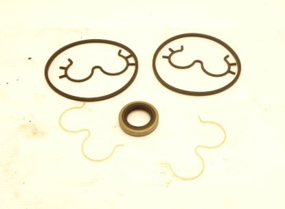 Picture of TSP 4-26 PUMP SEAL KIT