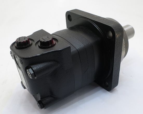 Picture of CHAR-LYNN 105-1136-006  131cc/rev