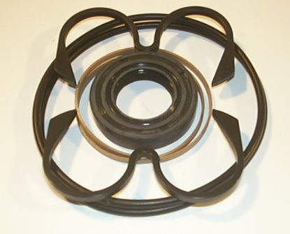 Imagen de JUEGO DE JUNTAS PARA  PB9LK137