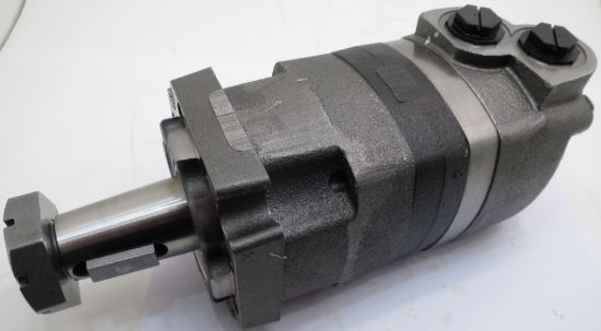 Picture of CHAR-LYNN 109-1111-006