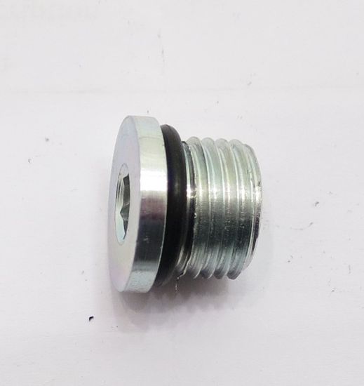 Picture of 9/16 SORB SOCKET HEAD BLANKING PLUG