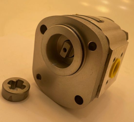 Picture of 1SX110AULBBN LANSING PUMP