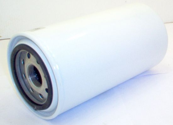 Picture of 6 MICRON 3/4 BSP FIBRE 12 LONG CAN