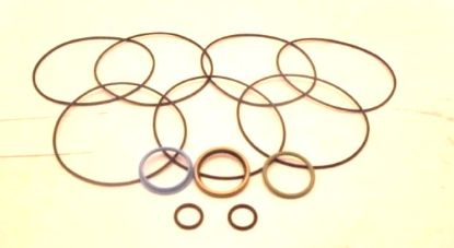 Picture of SEAL KIT PART No. 9900288-000