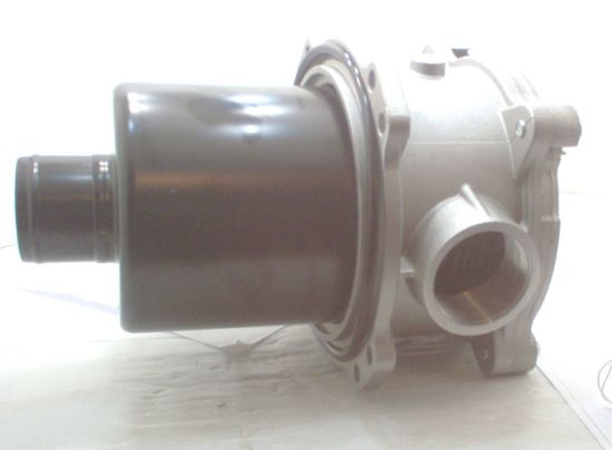 Picture of SIZE 52 2''  BSP PORT T.I. FILT BOD