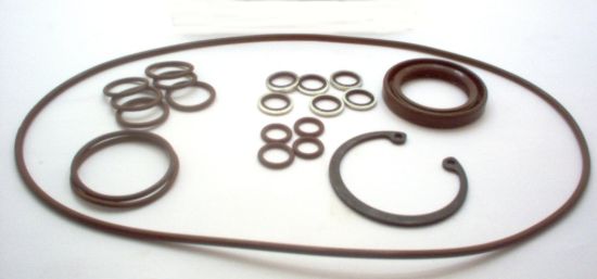 Picture of MA10V045 VITON SEAL KIT 31 DESIGN