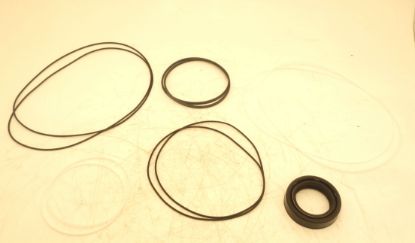 Picture of TAP 60-200  **02 2 BOLT C  SEAL KIT
